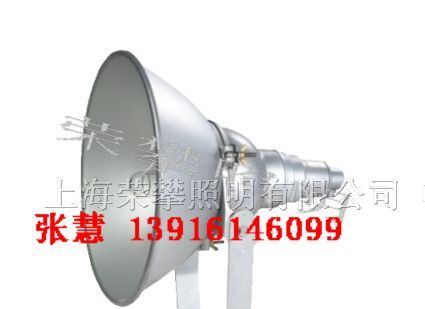 供应NTC9210 防震投光灯 NTC9210 CNT9160 三防投光灯