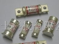 供应JJS-10，JJS-60，JJS-80，JJS-100快速熔断器