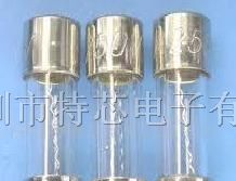 供应5*20保险管