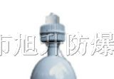 供应CBFC8100外场防爆强光泛光灯