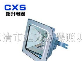 供应CNFC9100防眩棚顶灯