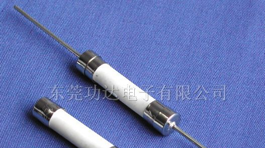 供应陶瓷保险丝.3*10.5*20.6*30