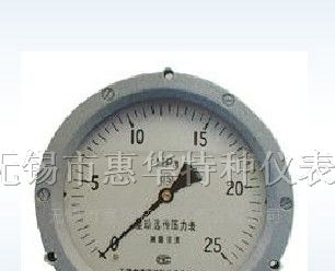 供应安全型防爆仪表、差动远传压力表