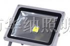 供应室外照明用50W大功率LED泛光灯 大功率LED照明灯具