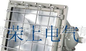 供应BAD5030，防爆泛光灯