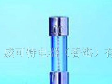 供应VDE认证用于5X20慢断高抗脉冲玻璃管保险丝