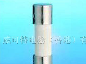 供应10X38 600V AUB慢断陶瓷管保险丝