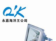 供应NFC9100防眩棚顶灯