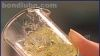供应 汽车组合开关阻尼脂