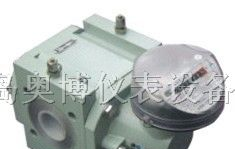 供应高质量气体腰轮流量计