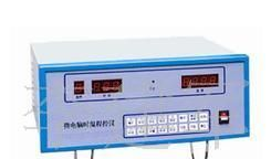 供应微电脑时温程控仪