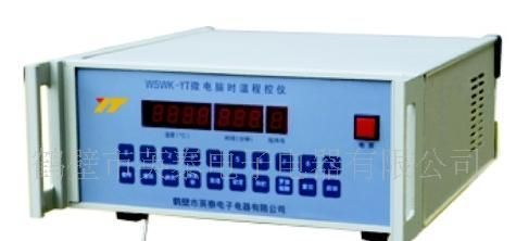 供应WSWK-YT微电脑时温程控仪