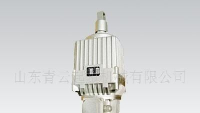供应Ed系列电力液压推动器