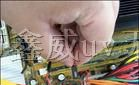 供应排线跳线、电子元器件粘接固定UV紫外线胶水