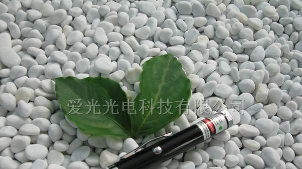 供应蓝紫光激光笔，指星笔（一节七号电池）30mW