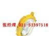 BFC8110防爆泛光灯 BFC8110 防爆泛光