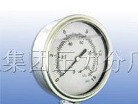 YTF-100-Z耐震全不锈钢压力表