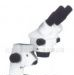 XTZ - D 连续变倍体视显微镜 上海光学五厂
