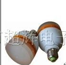 供应大桔灯LED灯泡