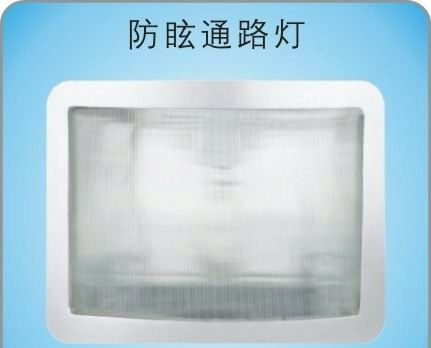 ZF9805防震投光灯