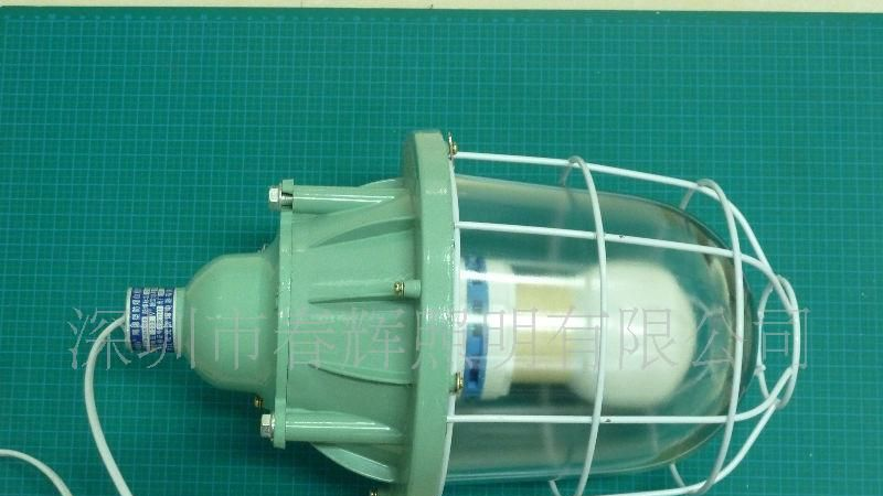 供应隔爆型防爆无极灯