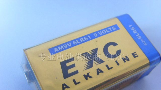 供应6LR61，9V碱性电池，探测器厂家电源