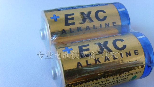供应全英文标1号，D型碱性干电池