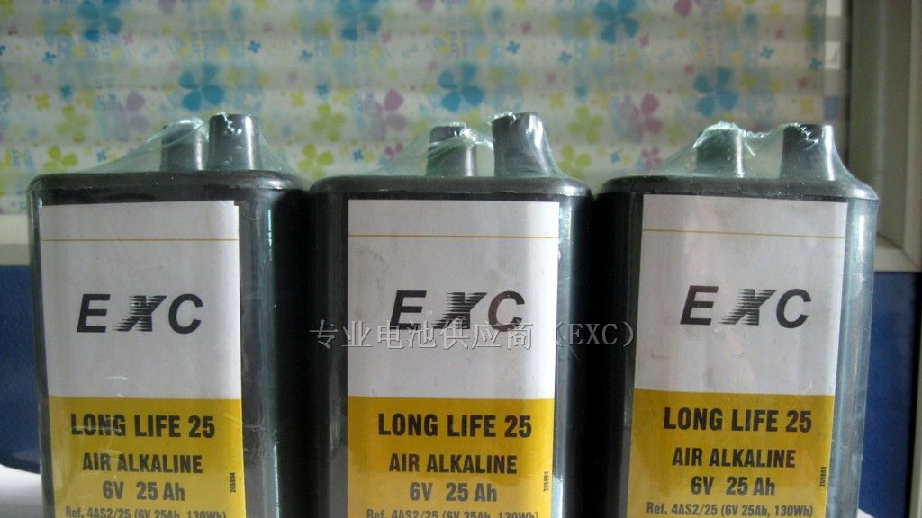 供应交通信号灯专用4LR25碱性6V电池