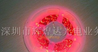 现货供应3528红光灯条，红色灯条，LED灯条