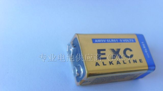 供应9V,6LR61碱性电池
