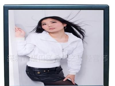 供应高亮液晶显示器