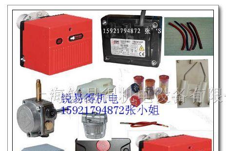 供应RIELLO利雅路火焰探测器G20