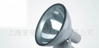 供应防震型投光灯NTC9210