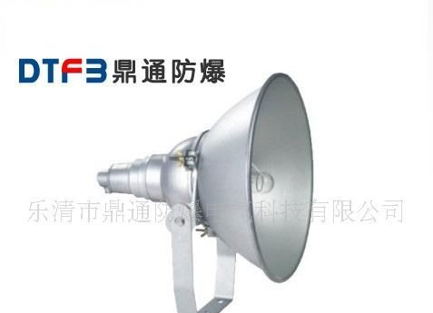 DTFB9210防震型投光灯