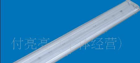 供应T6电子式节能灯