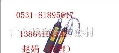 供应煤气检测仪RJ-300