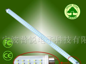 供应巨树照明系列0.6米LED灯管