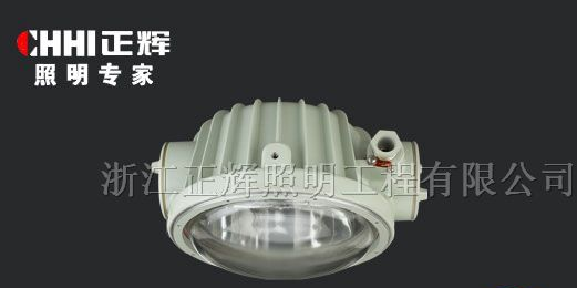 供应BYW6130 内场防爆泛光灯，外场防爆泛光灯