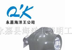 供应IW5110/IW5110B固态强光防爆头灯