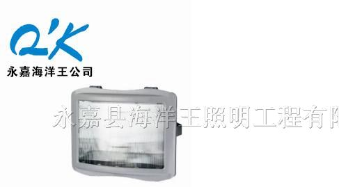 供应NSE9720防眩应急通路灯