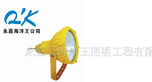 BTC8210防爆投光灯
