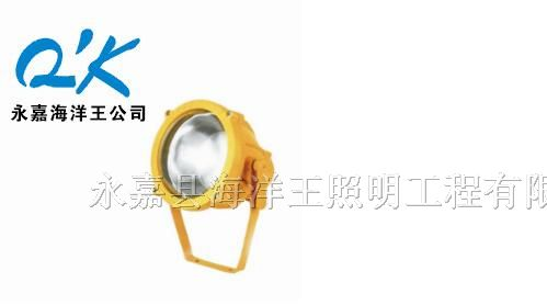 供应BTC8200/BTC8200A防爆投光灯