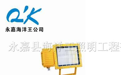 供应BTC6150防爆泛光灯