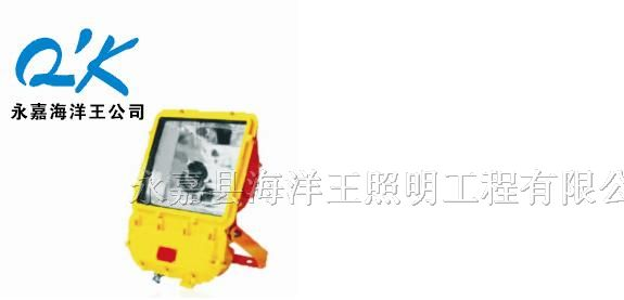 供应BFC8110防爆泛光灯