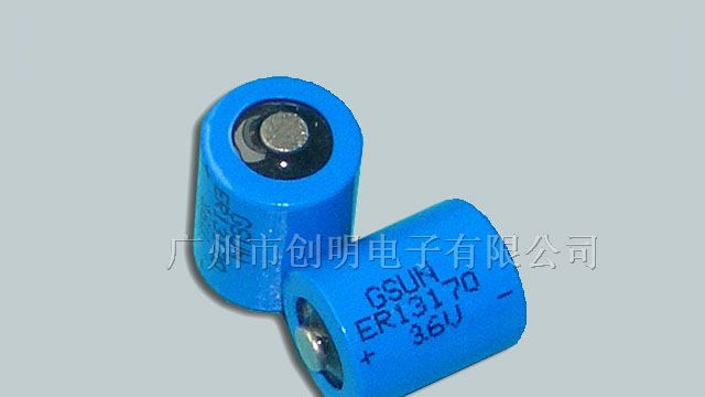 供应国产ER13170锂亚电池