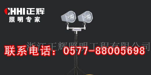 供应SFD3000C 便携式升降工作灯（数码静音发电机）