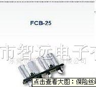 保险丝端子