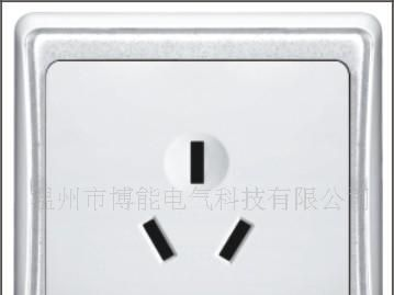 供应二极插座的墙壁开关（带产品图片）