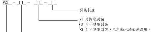 供应铂热电阻传感器