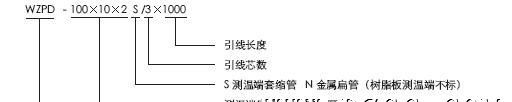 WZPD系列电机用埋置式铂热电阻传感器